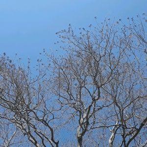 Meet your Posher, Saida